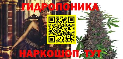PSILOCYBIN Бугуруслан