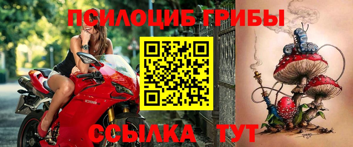 Новоуральск  Галлюциногенные грибы мицелий  Вход с VPN 