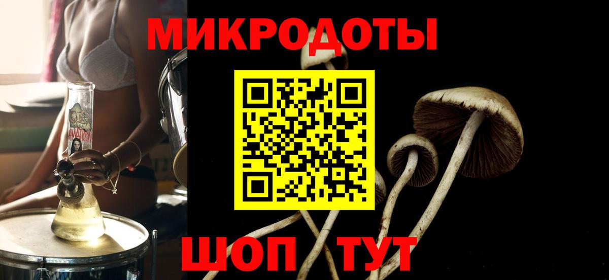 Галлюциногенные грибы Psilocybine cubensis Новоуральск